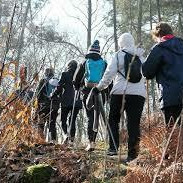 Marche Nordique Sport Santé